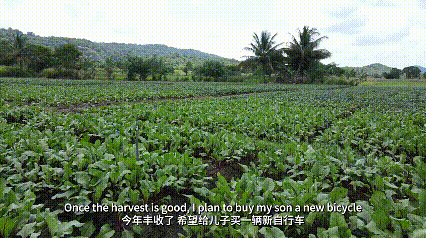 跬步千里444.gif